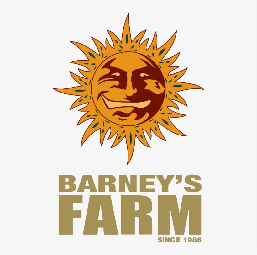 Barneys Farm Blueberry OG Cannabis Seeds Pack of 1 UK
