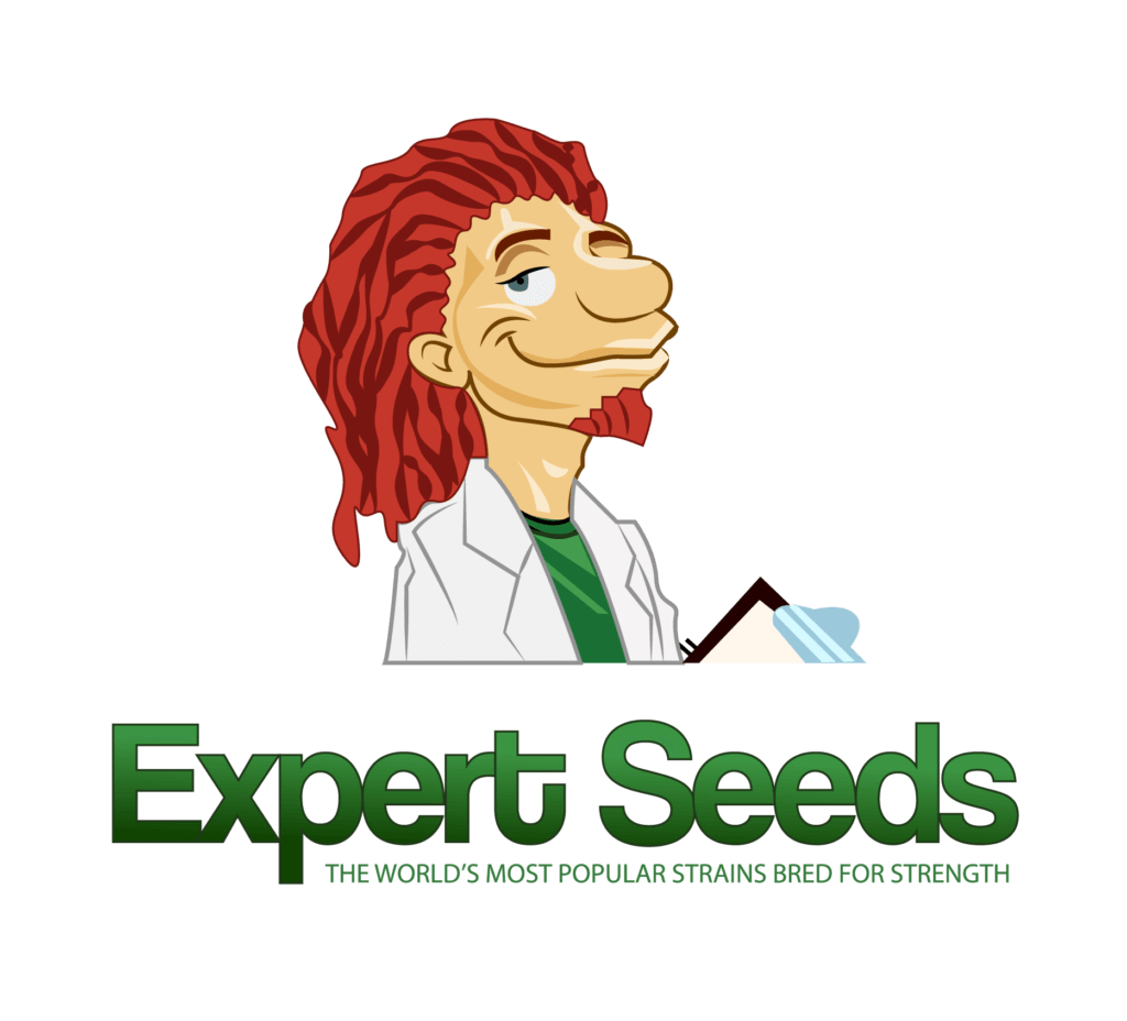 Buy Glueberry Auto (Expert Seeds) UK