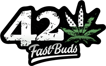 Buy Fast Buds Gorilla Punch Seeds in Manchester